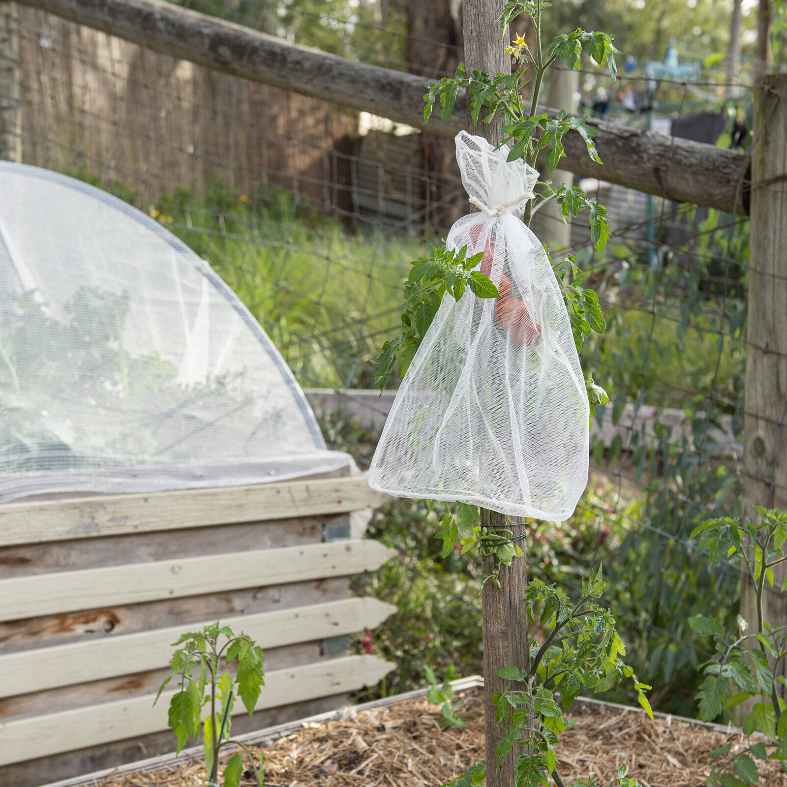Backyard Farmer 20 x 30cm Netting Bag - 25 Pack