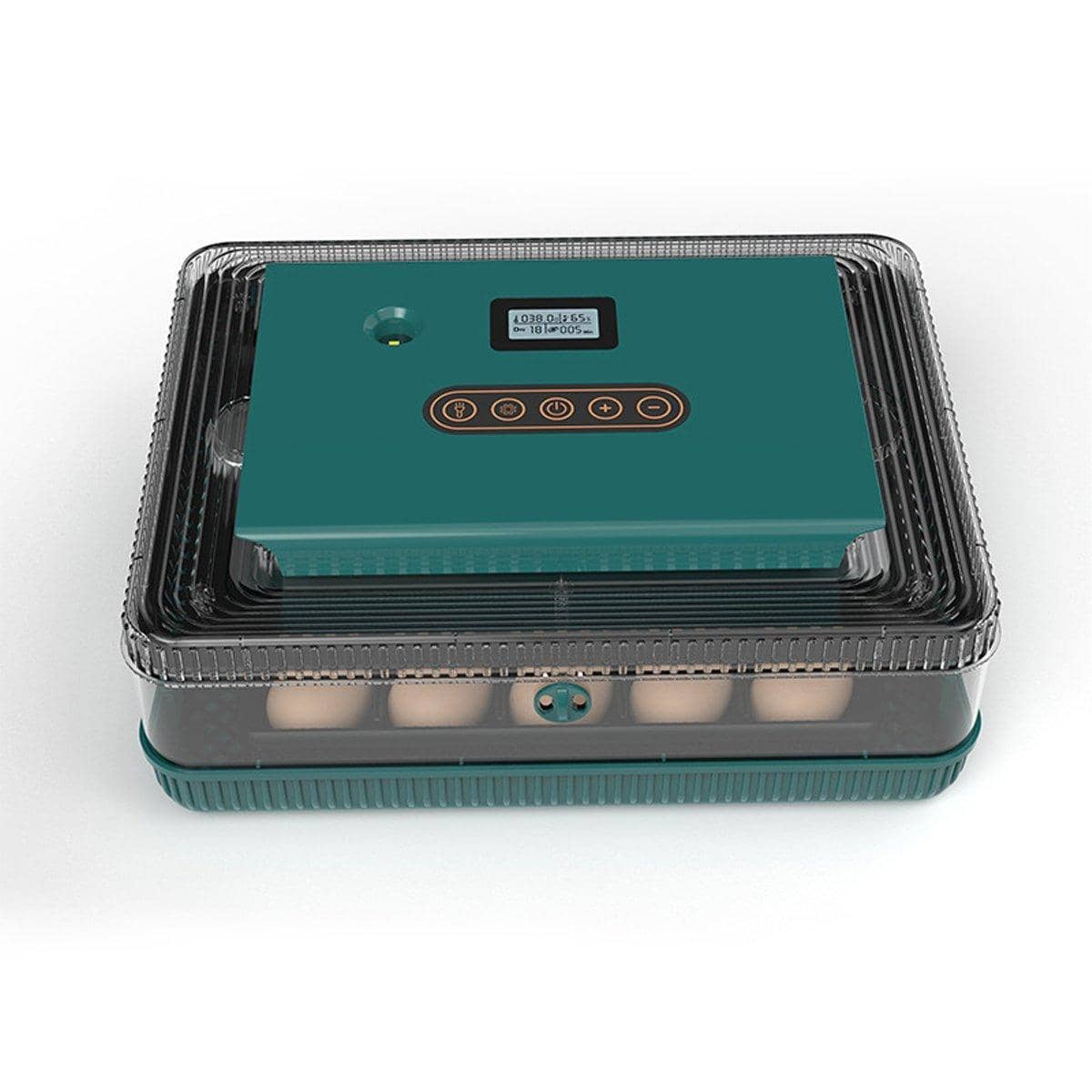 Fully Automatic 25 Egg Incubator with Temperature Display for Hen, Duck and Quail Eggs - view 4