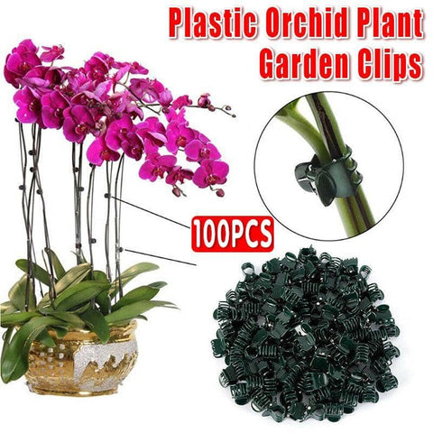 Garden Orchid Clips, 100 Pack - Dark Green, 2cm Wide