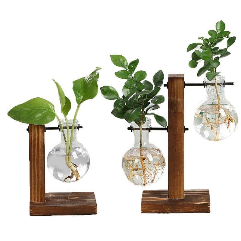 Glass Bulb Plant Vase with Wooden Stand - Set of 2 Stands, 13.5 cm and 19 cm