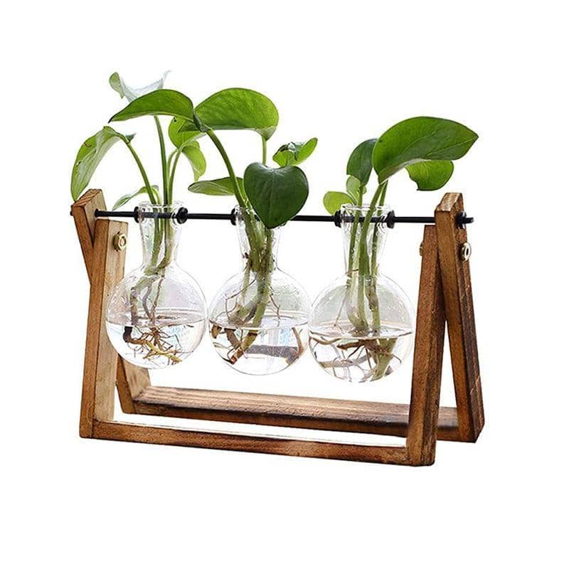 Hanging Glass Vase with Wood Stand for Hydroponic Plants - Size L, 3 Bottles (Tray 28 x 14 cm)