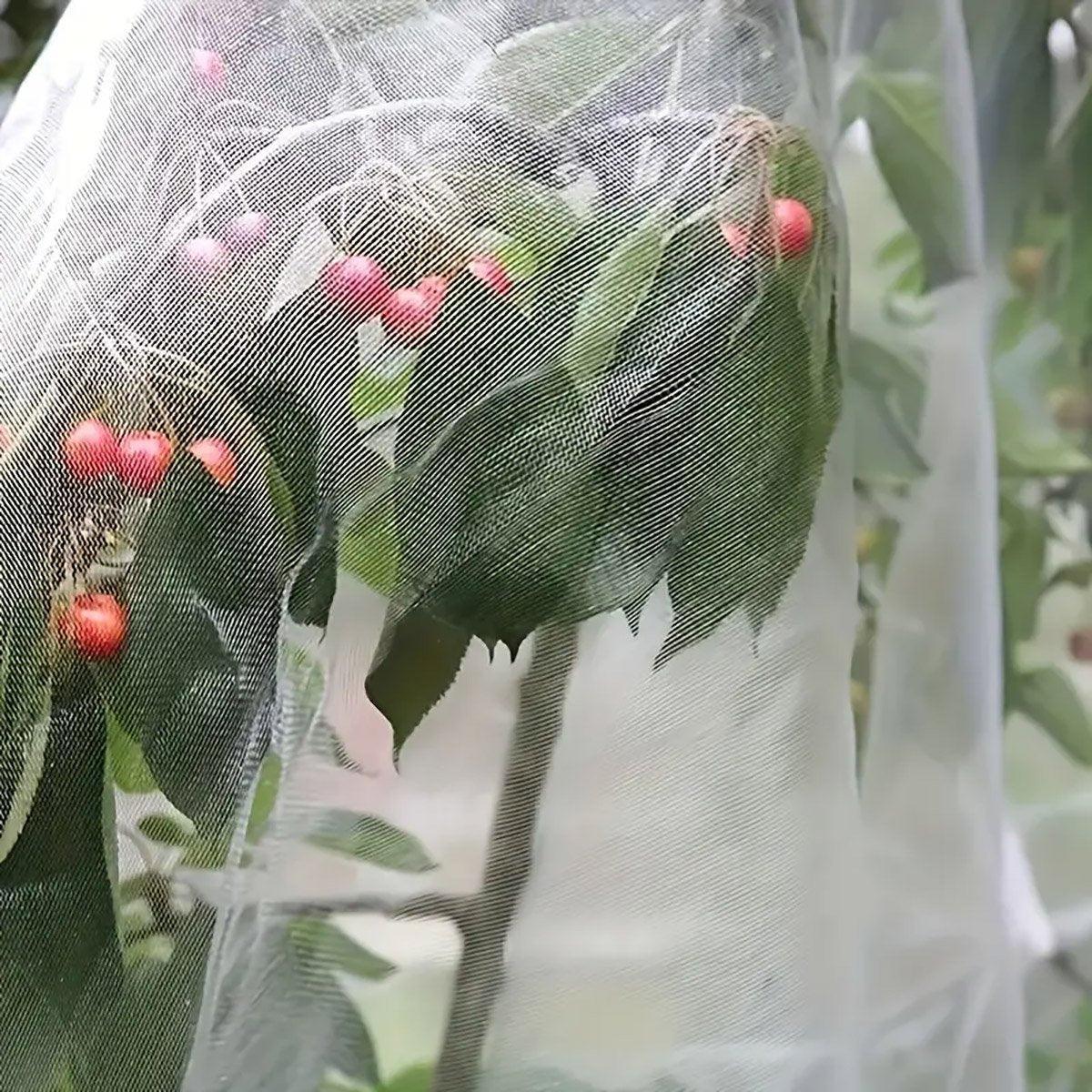 Insect Proof Greenhouse Net for Fruit and Vegetable Plants - 250cm x 10m - view 11