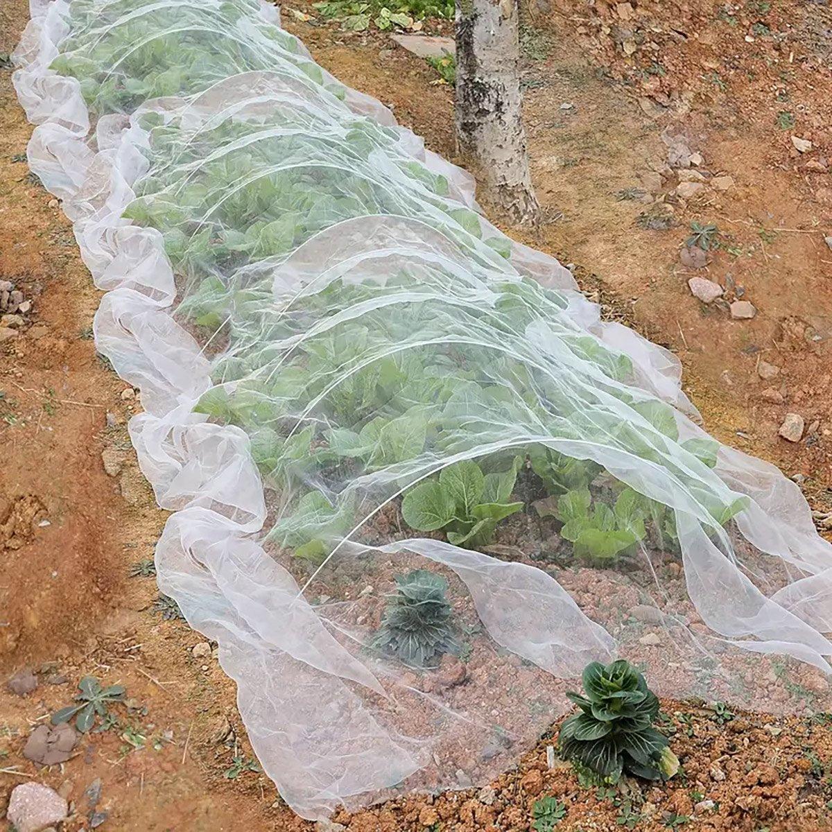 Insect Proof Greenhouse Net for Fruit and Vegetable Plants - 250cm x 10m - view 9