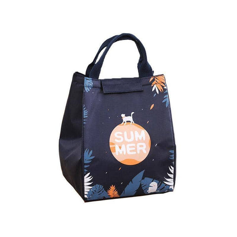 Insulated Lunch Bag, Portable Picnic Cooler Tote - Large 18x24x15cm, Model E02