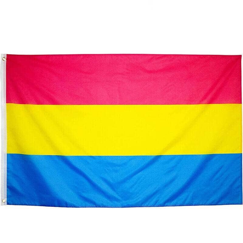 Large Pansexual Pride Flag, 150 x 90 cm, Double Sided Polyester - view 2