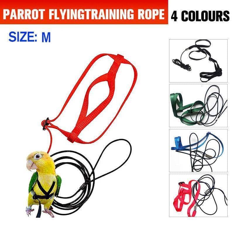 Parrot Bird Harness and Lead Leash, Flying Training Rope - Blue - view 2