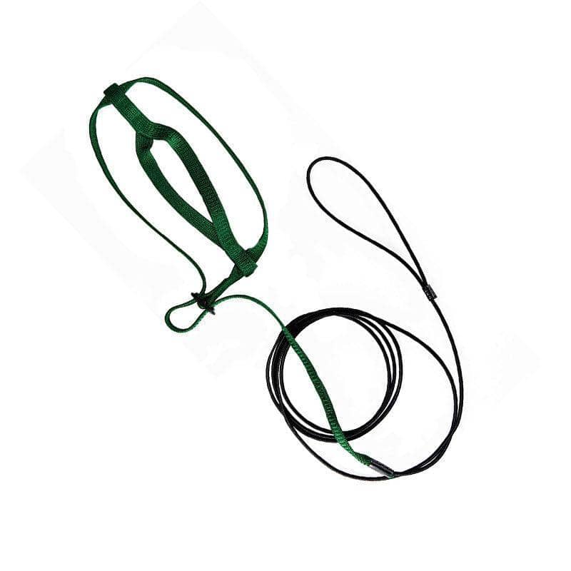 Parrot Bird Harness and Leash for Flying Training, XL (130cm Rope) - Green