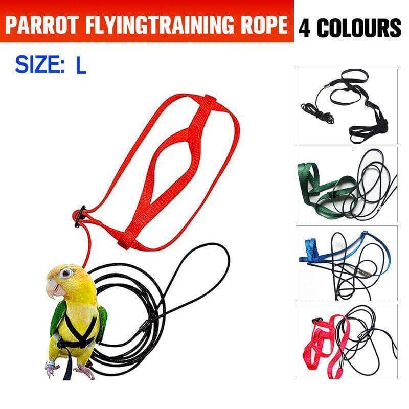 Parrot Harness and Flying Leash, Large 130 cm Rope - Red - view 2