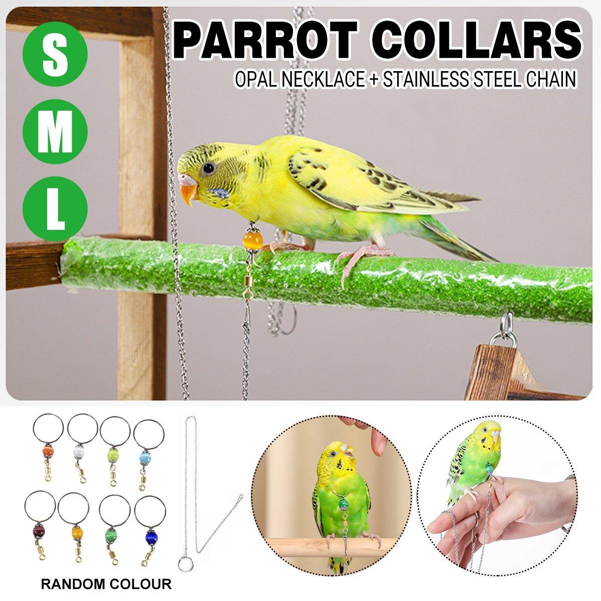 Parrot Neck Collar with 30cm Stainless Steel Chain - Large, 2.2cm Diameter - view 2