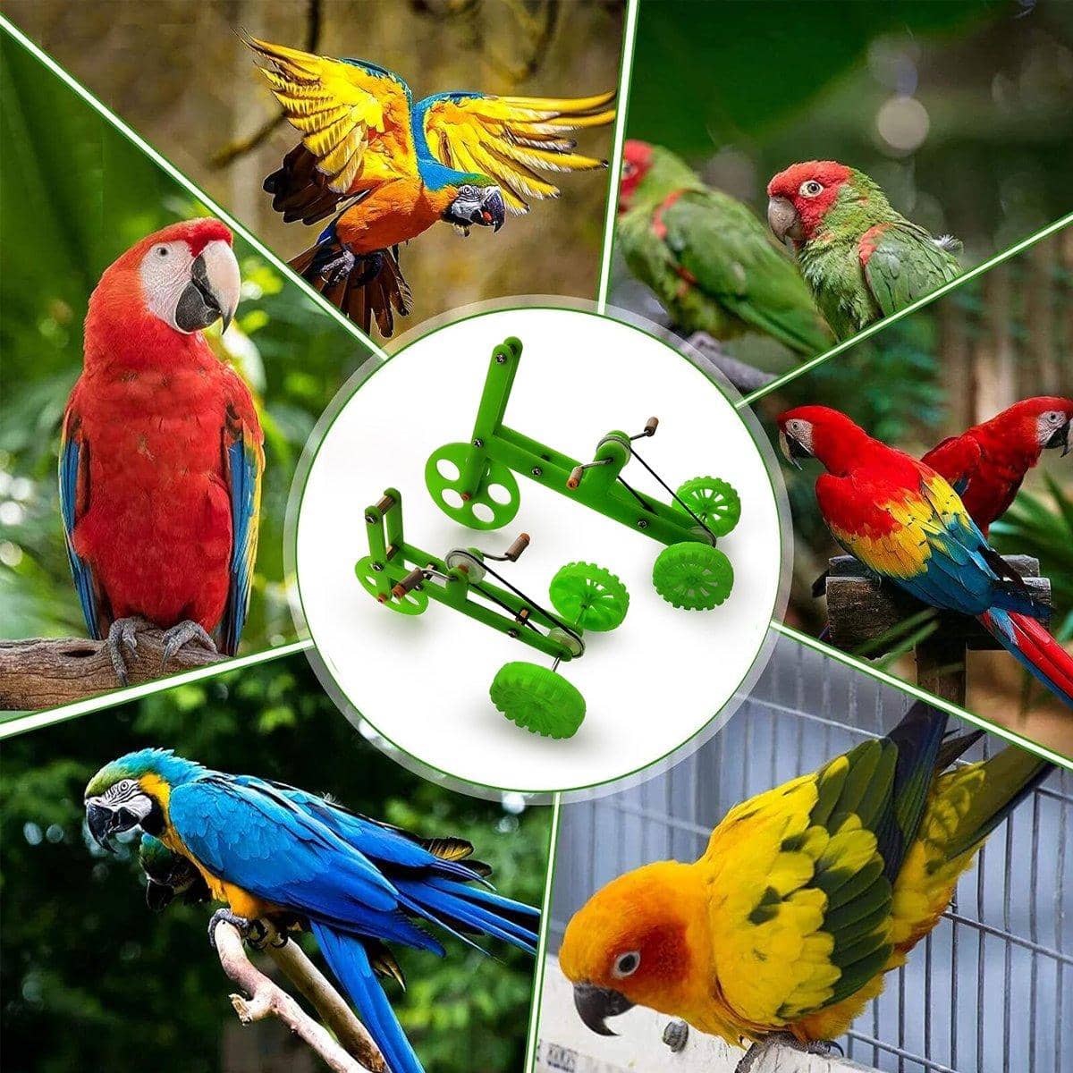 Parrot Training Bicycle Toy for Birds Exercise and Play - Small (14 x 7.2 x 8.7 cm) - view 5