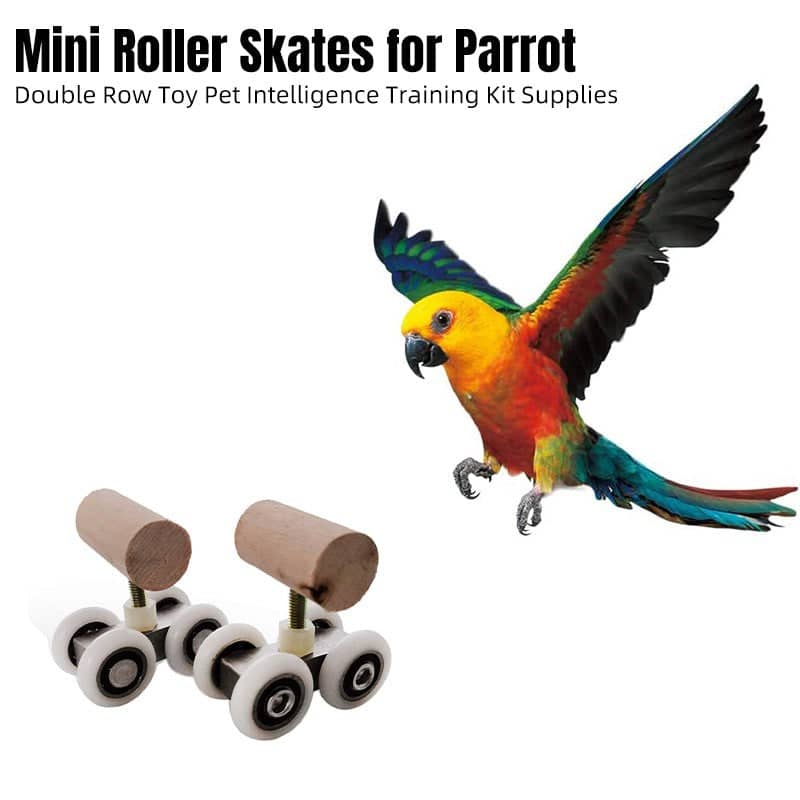 Parrot Training Pulley Toy Pack of 2 for Interactive Bird Play with Small Parrots - view 4