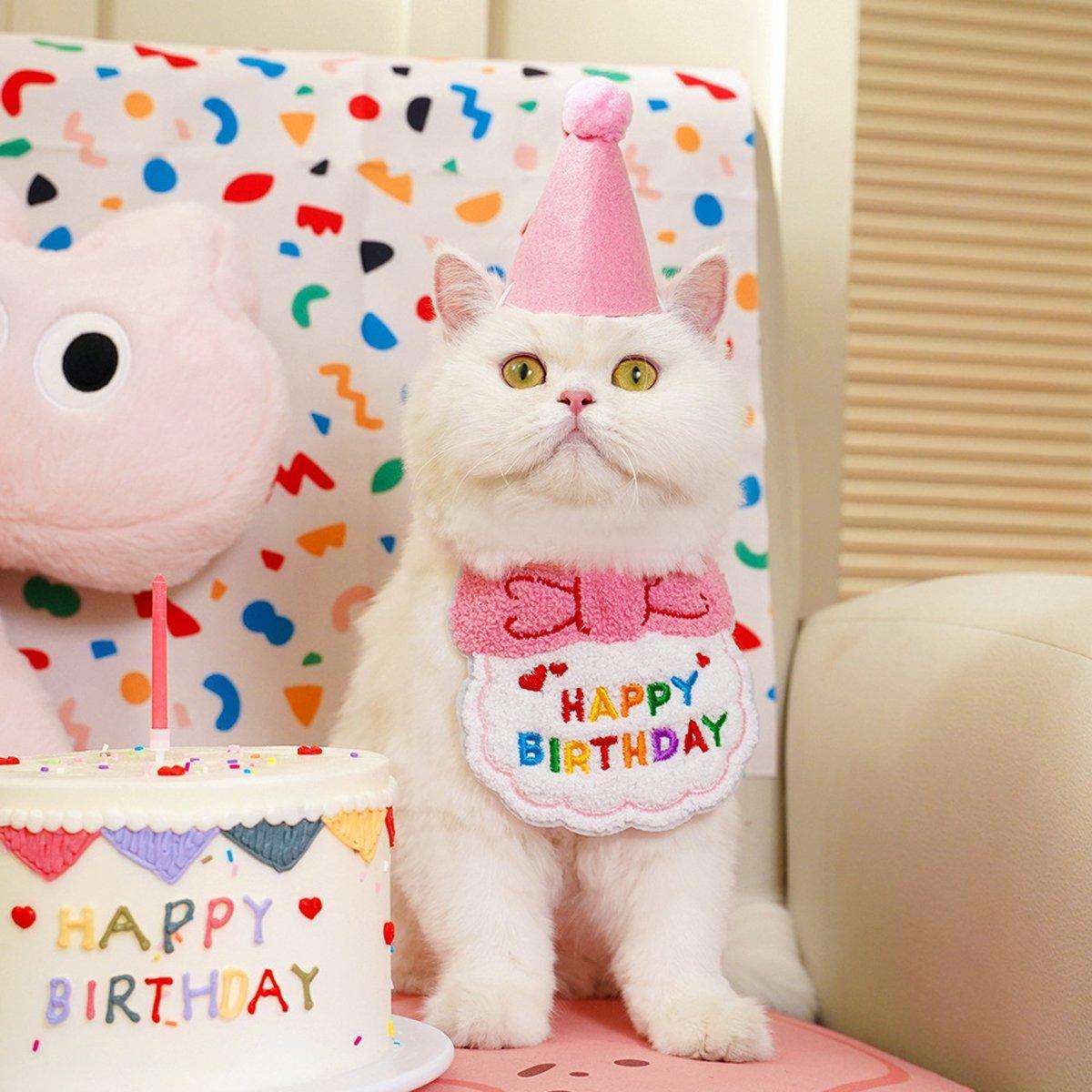 Pet Birthday Hat and Scarf Set for Dogs and Cats - Sky Blue - view 10