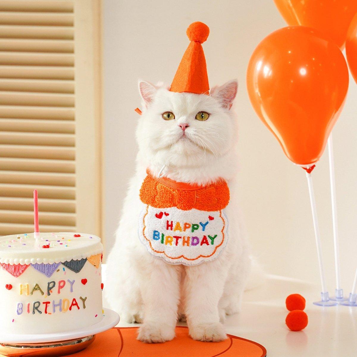 Pet Birthday Hat and Scarf Set for Dogs and Cats - Sky Blue - view 7