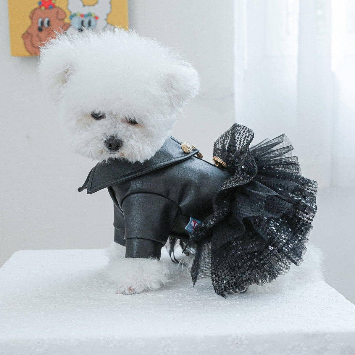 Pet Faux Leather Sequin Dress for Small Dogs and Cats - Black, Size M (Chest 40 cm) - view 5