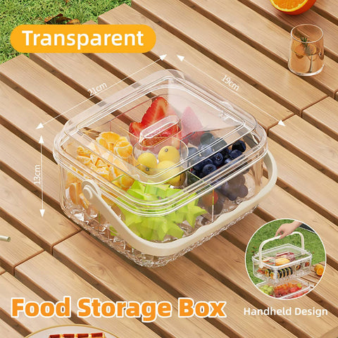 Portable Food Storage Box with Handle - Clear, 21 x 19 x 13 cm