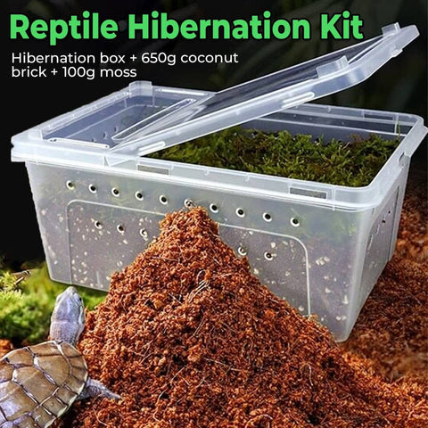 Reptile Hibernation Kit with Feeding Box, Coconut Brick and Moss