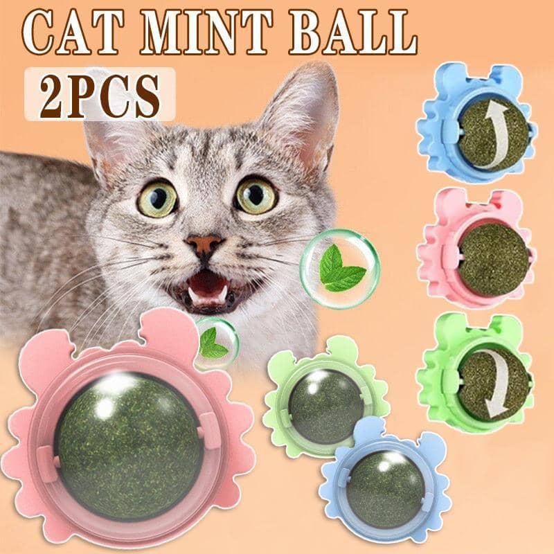 Rotating Catnip Mint Ball Cat Toy, Pack of 2 - Blue - view 2