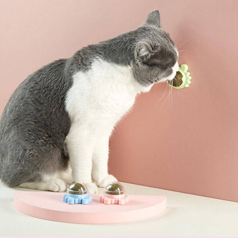 Rotating Catnip Mint Ball Cat Toy, Pack of 2 - Blue - view 5