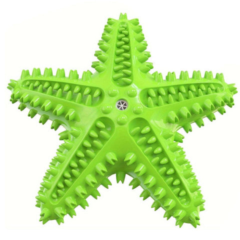 Starfish Floating Dog Toy with Squeaker - Green