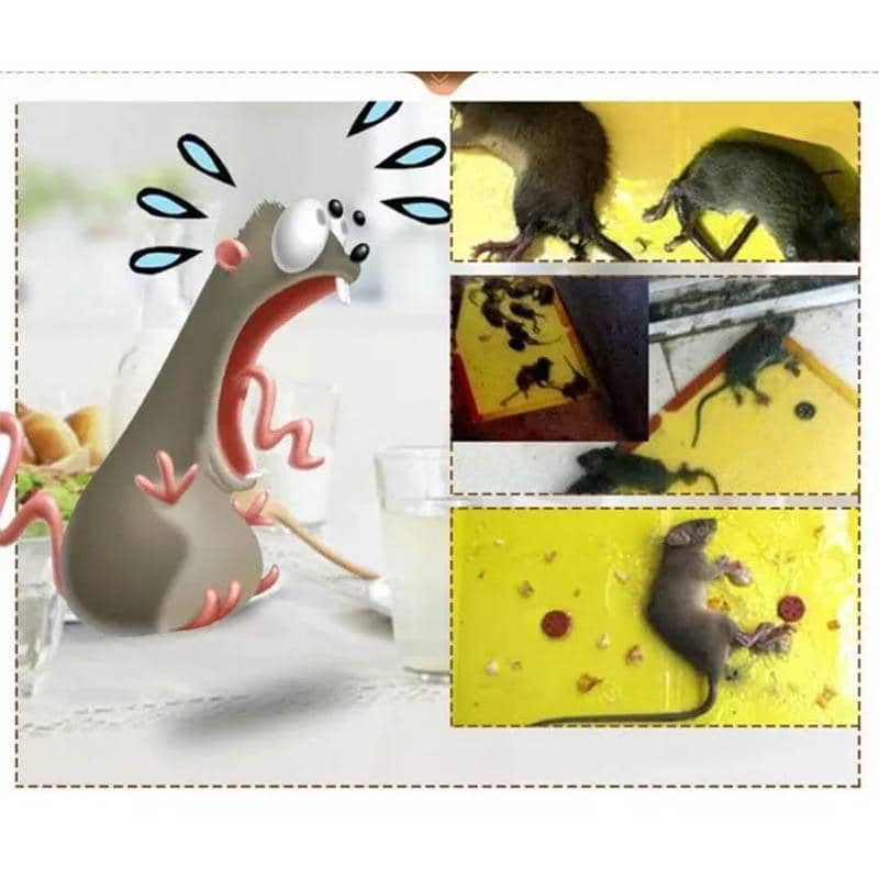 Sticky Mouse Trap Board, Snare Catcher Pad for Small Mice - Single - view 5