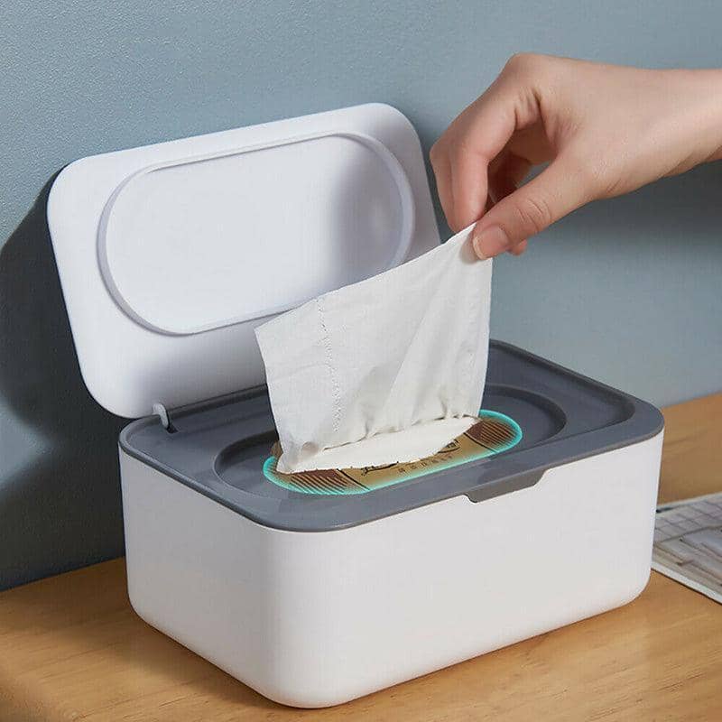 Tissue Box with Wet Wipe and Mask Storage Organiser - Blue - view 4