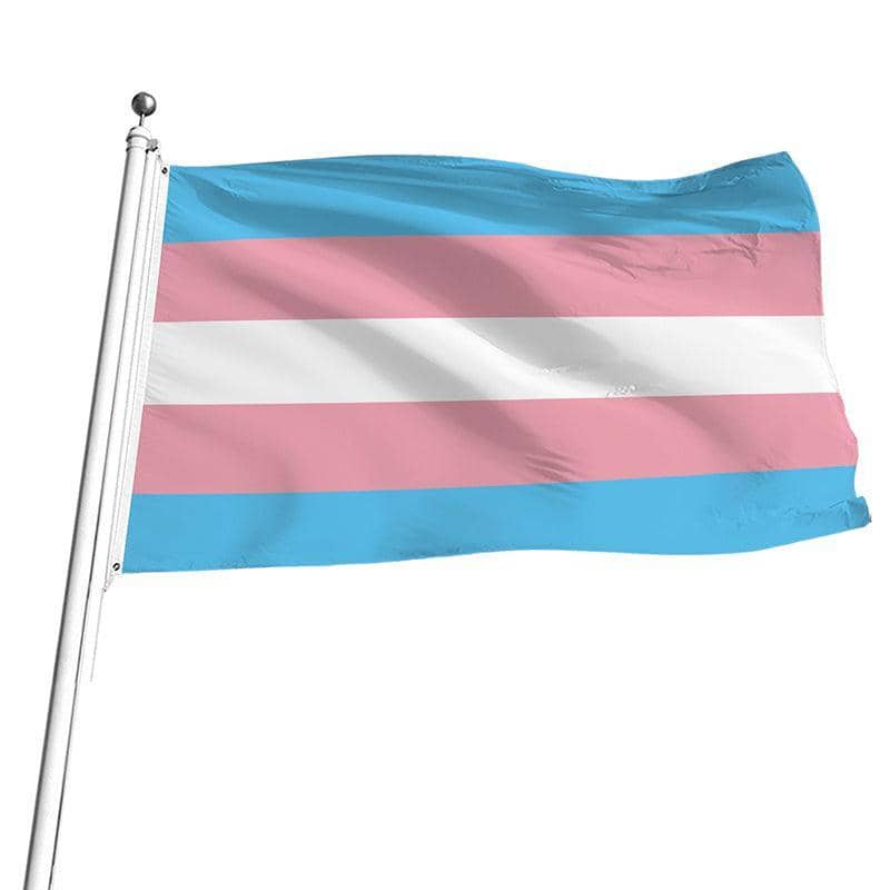 Transgender Pride Flag, Large (90 x 150 cm) - view 3
