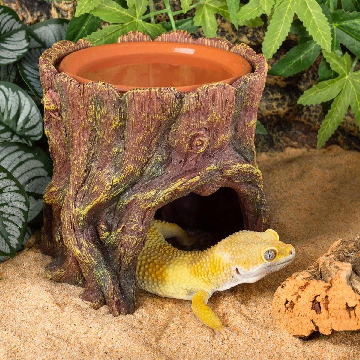 Tree Stump Reptile Cave Lizard Hide with Moisture Basin for Terrarium - view 4