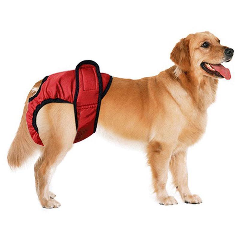 Washable Female Dog Nappy Pants - Pink, Size XS (Chest 35-45 cm) - view 12