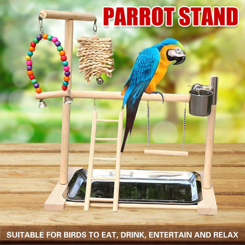 Wooden Parrot Playground Station with Swing, Ladder and Perches