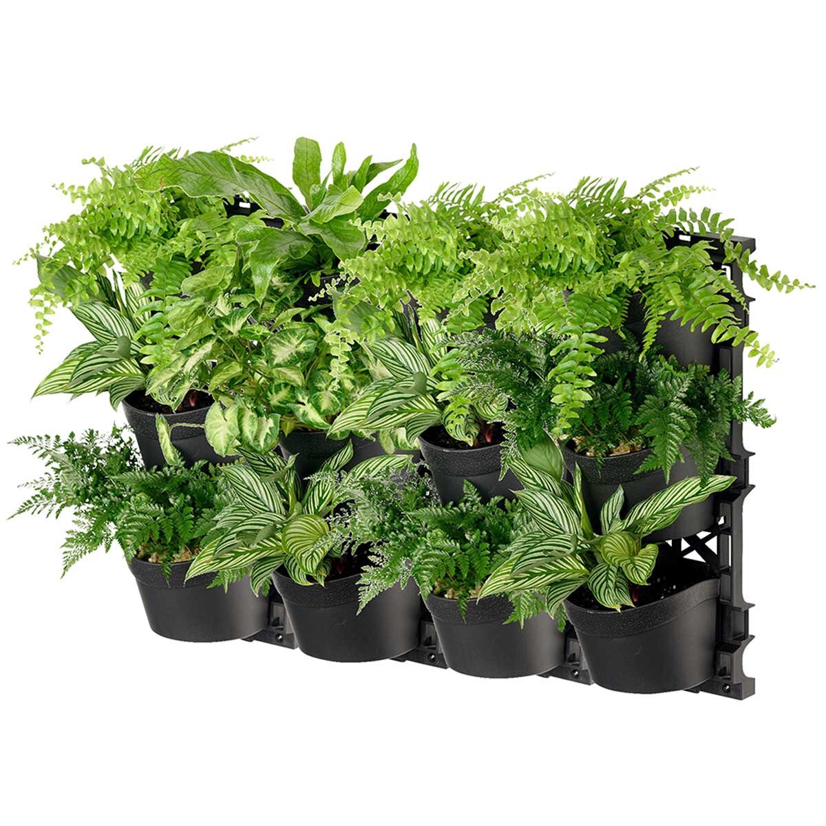 Choosing Pots & Planters: Sizes, Materials and Drainage Explained