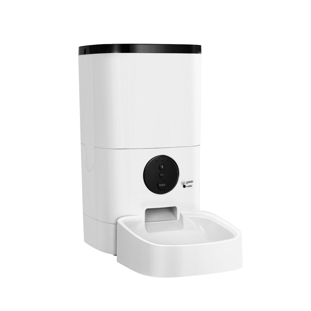 Pet Feeding Stations: Setups That Stay Clean