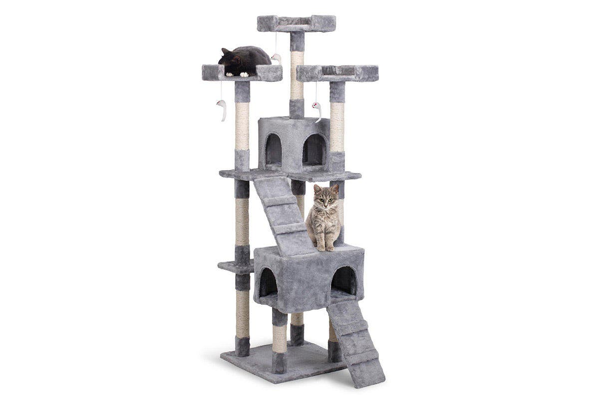 Cat Furniture & Scratchers