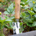 Cyclone Stainless Steel Bulb Trowel with 145mm Timber Handle