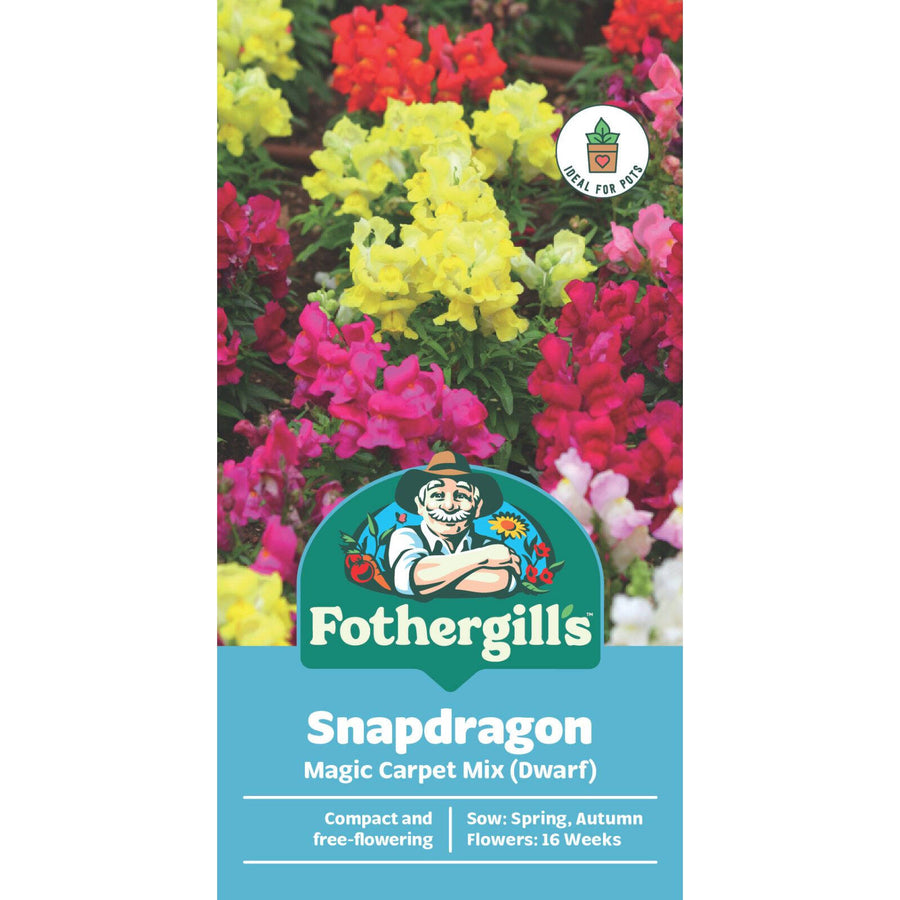 Mr Fothergill's Snapdragon Magic Carpet Flower Seeds - Dwarf Mixed Bedding 15cm