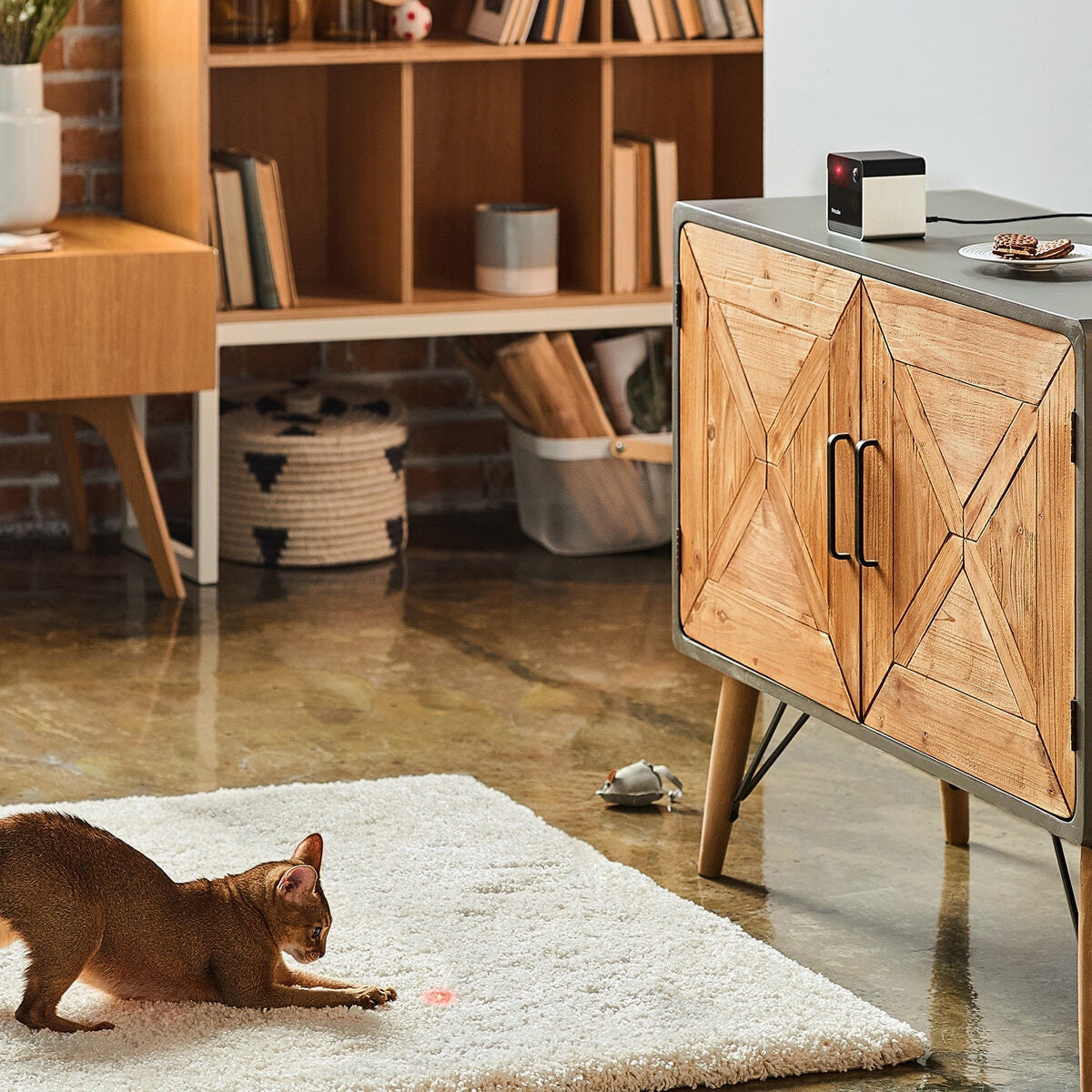 Petcube Play 2 Interactive Wi-Fi Pet Camera - 1080p HD, 160-Degree View, Laser Toy - 7271