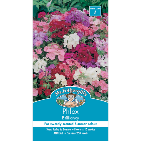 Mr Fothergill Phlox Brilliancy Flower Seeds 10 Weeks Annual Colorful - SuperSaverAU - view 1