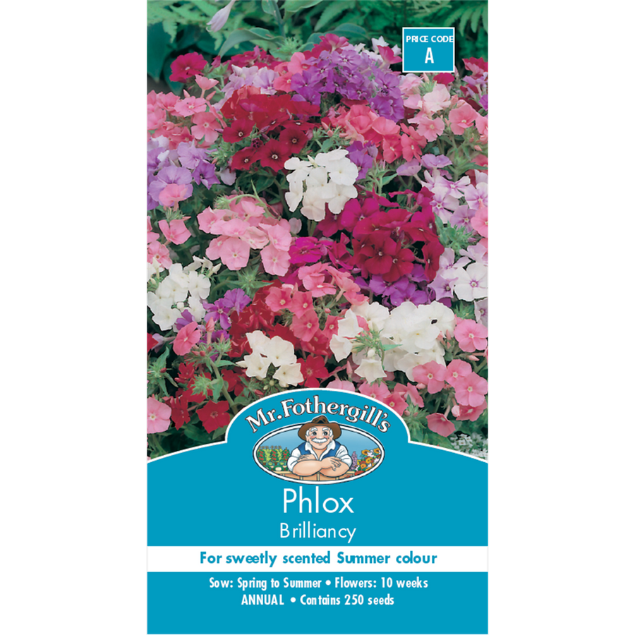 Mr Fothergill Phlox Brilliancy Flower Seeds 10 Weeks Annual Colorful - SuperSaverAU - view 1