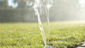 Holman Adjustable Pop Up Sprinkler 50mm Plastic 3.6m Throw - SuperSaverAU - view 4
