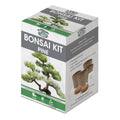 Mr Fothergill Bonsai Kit - Mexican Weeping Pine - 4 Pots - 90mm x 130mm - SuperSaverAU - view 1