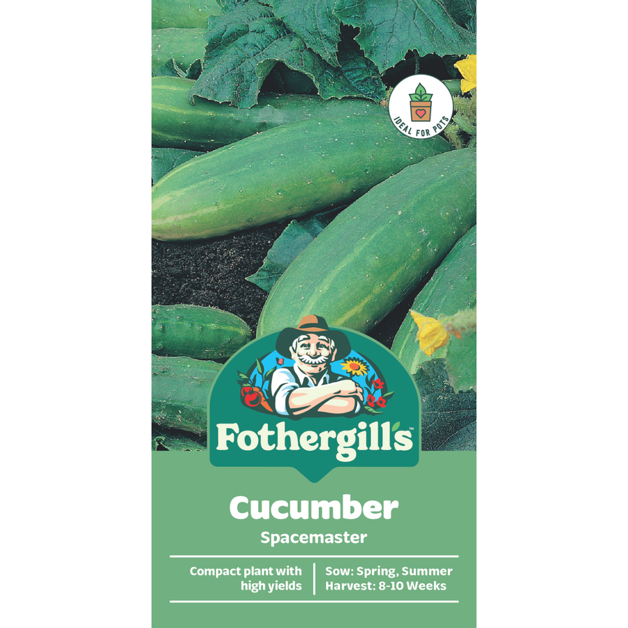 Mr Fothergill's Spacemaster Cucumber Seeds - Compact Container Variety