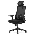 Lifespan Fitness DM9 Ergonomic Mesh High Back Office Chair - Adjustable Lumbar, 3D Armrests - LFOC-DM9BK-1