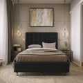 A.H. Beard Domino Antwerp Plush King Mattress - 3 Zone Coil Support - Climalux Comfort - DOANTPMKING