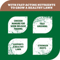 Yates Dynamic Lifter Concentrated Lawn Food 7kg - Organic Granulated Fertiliser, Covers 250m2