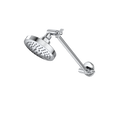 Caroma Luna Chrome Adjustable Shower and Arm, 9L/min WELS 3 Star