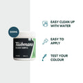 Taubmans Sample Pot 500ml Accent Water Based Acrylic