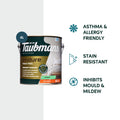TAUBMANS Endure 4L Accent Low Sheen Interior Walls Paint Water Based UV Resistant