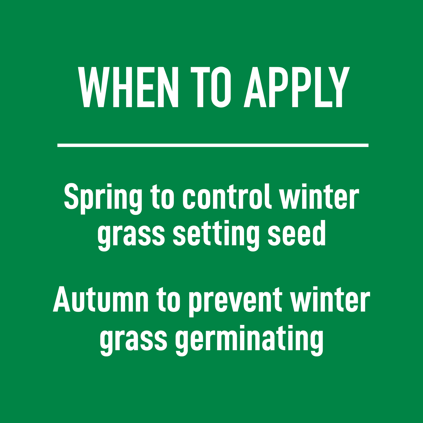 Munns Professional 2.4L Winter Grass Killer Weed Control Ready To Use