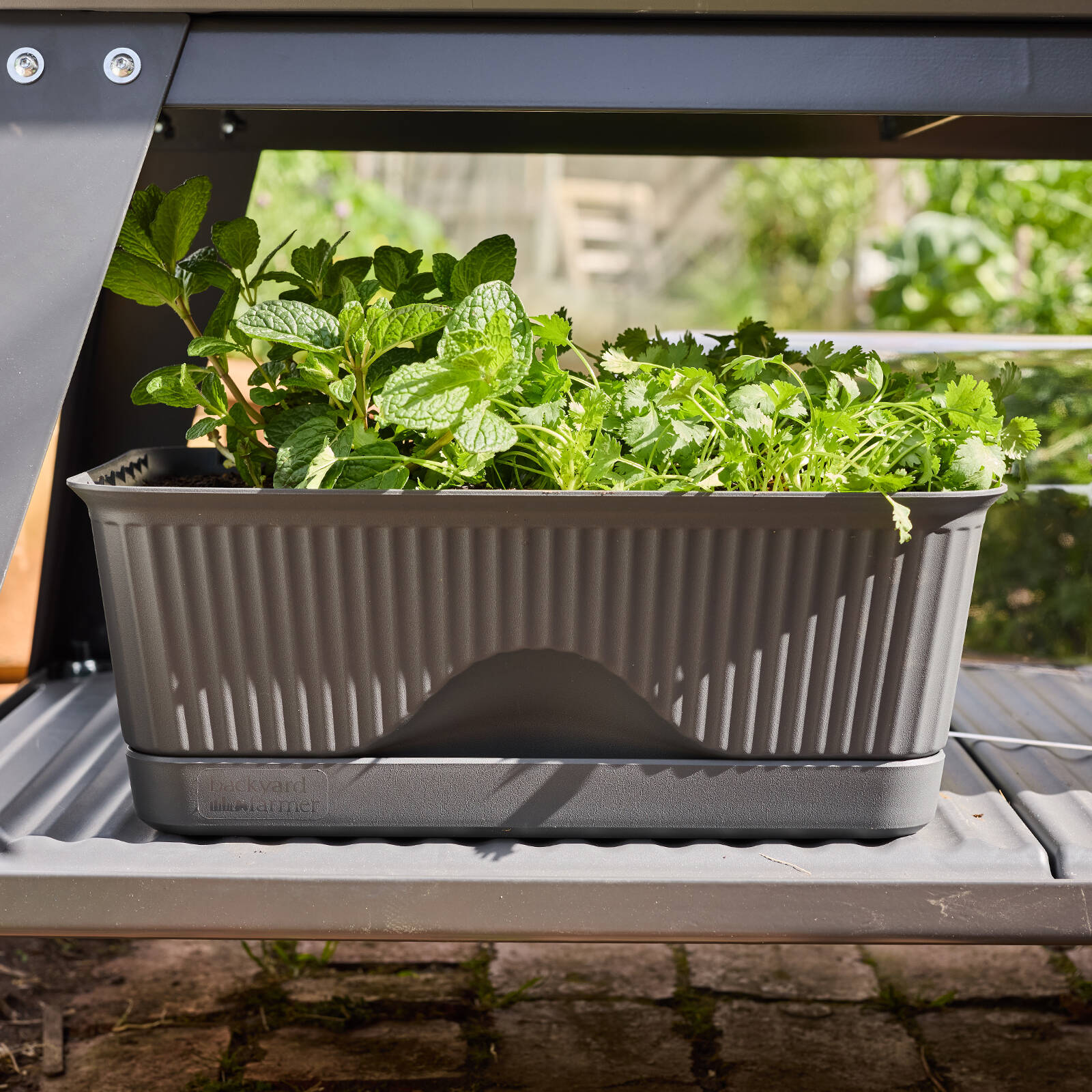 Backyard Farmer Lula Mini Greenhouse, Grey Seed Propagator
