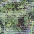 Backyard Farmer Anti Bird Net - 4 x 10m - 5mm Diamond Mesh - White - UV-Resistant - SuperSaverAU - view 3