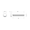 Zenith Cup Head Bolt - M12 x 100mm - Stainless Steel 304 - Flush Finish - SuperSaverAU - view 2